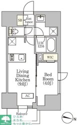 イプセ渋谷本町の物件間取画像